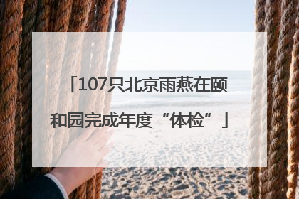 107只北京雨燕在颐和园完成年度“体检”