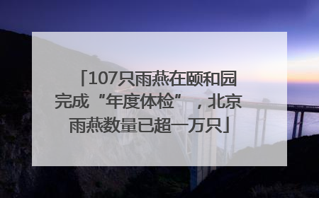 107只雨燕在颐和园完成“年度体检”，北京雨燕数量已超一万只