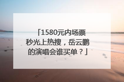1580元内场票秒光上热搜，岳云鹏的演唱会谁买单？