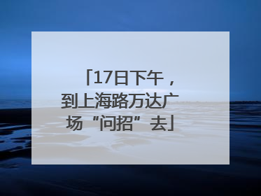 17日下午，到上海路万达广场“问招”去