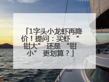 1字头小龙虾再降价！提问：买虾 “钳大” 还是 “钳小” 更划算？