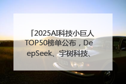 2025AI科技小巨人TOP50榜单公布，DeepSeek、宇树科技、蘑菇车联等企业荣誉上榜