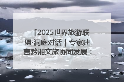 2025世界旅游联盟·洞庭对话｜专家建言黔湘文旅协同发展：聚焦产品稀缺性 深化区域经验共享