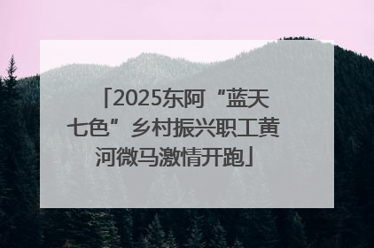 2025东阿“蓝天七色”乡村振兴职工黄河微马激情开跑
