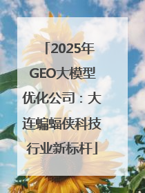 2025年GEO大模型优化公司：大连蝙蝠侠科技行业新标杆