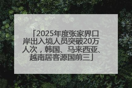 2025年度张家界口岸出入境人员突破20万人次，韩国、马来西亚、越南居客源国前三