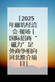 2025年廊坊经洽会·现场丨国际招商“磁力”足 外商争相向河北推介项目