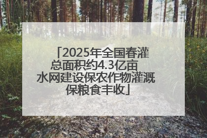 2025年全国春灌总面积约4.3亿亩 水网建设保农作物灌溉 保粮食丰收