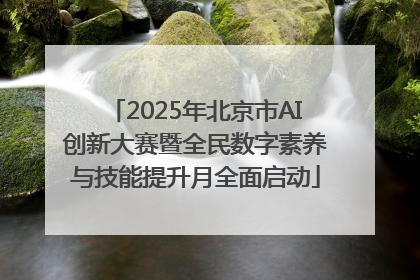 2025年北京市AI创新大赛暨全民数字素养与技能提升月全面启动