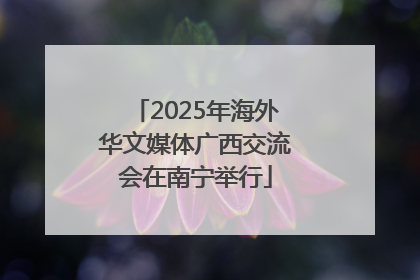 2025年海外华文媒体广西交流会在南宁举行