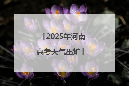 2025年河南高考天气出炉