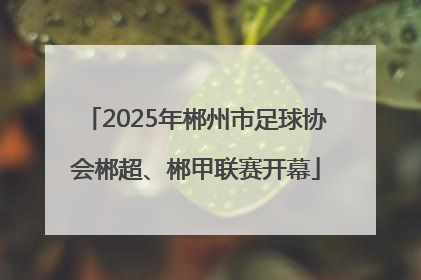 2025年郴州市足球协会郴超、郴甲联赛开幕