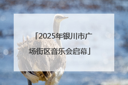 2025年银川市广场街区音乐会启幕
