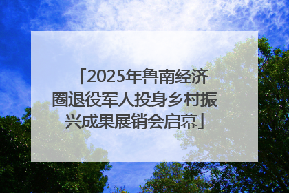 2025年鲁南经济圈退役军人投身乡村振兴成果展销会启幕
