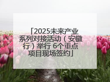2025未来产业系列对接活动（安徽行）举行 6个重点项目现场签约