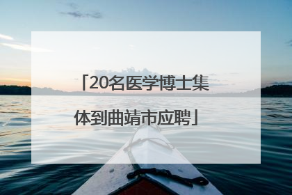20名医学博士集体到曲靖市应聘