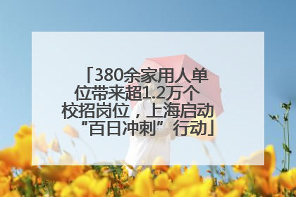 380余家用人单位带来超1.2万个校招岗位，上海启动“百日冲刺”行动