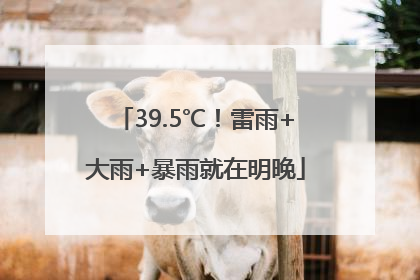 39.5℃！雷雨+大雨+暴雨就在明晚