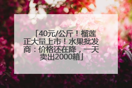 40元/公斤！榴莲正大量上市！水果批发商：价格还在降，一天卖出2000箱