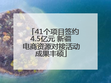 41个项目签约4.5亿元 新疆电商资源对接活动成果丰硕