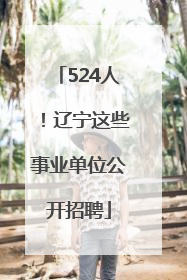 524人！辽宁这些事业单位公开招聘