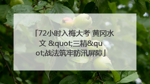 72小时入梅大考 黄冈水文 "三精"战法筑牢防汛屏障