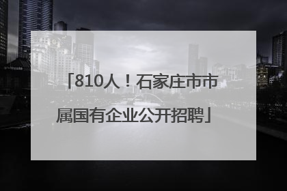 810人！石家庄市市属国有企业公开招聘