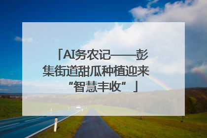 AI务农记——彭集街道甜瓜种植迎来“智慧丰收”