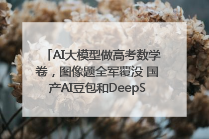AI大模型做高考数学卷，图像题全军覆没 国产AI豆包和DeepSeek均得分144
