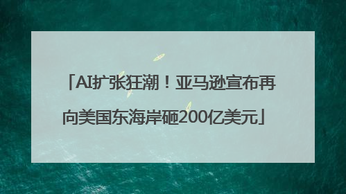 AI扩张狂潮！亚马逊宣布再向美国东海岸砸200亿美元