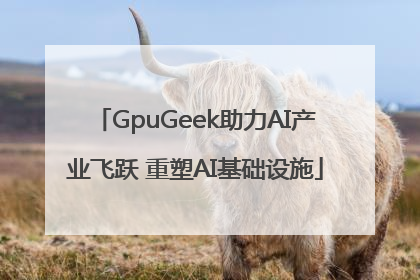 GpuGeek助力AI产业飞跃 重塑AI基础设施