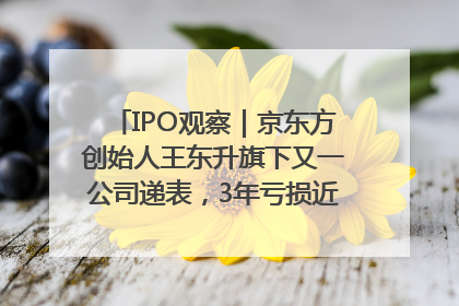 IPO观察|京东方创始人王东升旗下又一公司递表,3年亏损近50亿元,近8成收入来自同一客户