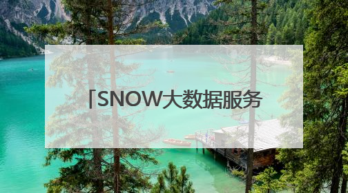 SNOW大数据服务万千用户，SNOW AI量化——打造亚太云端AI量化